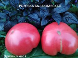 IMG_20250816_201403.jpg