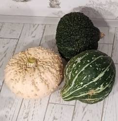 Паршивка, Зелёный и Чикагский