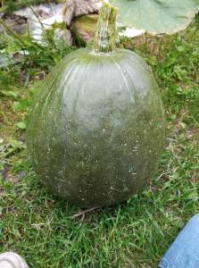 001.thumb.jpg.e507a12a2eecfadb578d426127e718e9.jpg