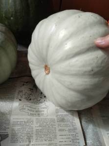 008.thumb.jpg.18ead60e9b16834d3bec3f029b57f5b1.jpg