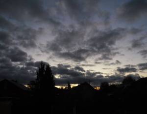 1.thumb.JPG.1fc990740272e572e5a2749139f67f2a.JPG