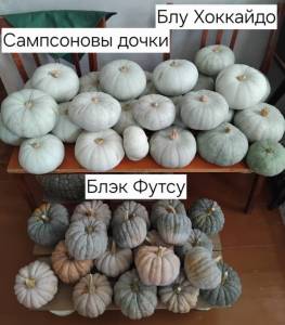 навела порядок.jpg