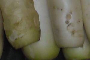 12.thumb.JPG.99c9efb0342e3cd1086cf39723395b91.JPG