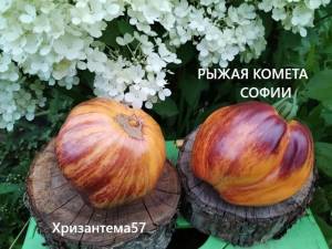 1352669893_().thumb.jpg.7c5dc9e3bb7c3ec46dfa74bf30cf6396.jpg