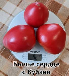 image (1).jpg