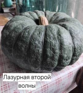 1473412062_2.thumb.jpg.7d2aa2837d09a6fbb64b9b585a173f32.jpg