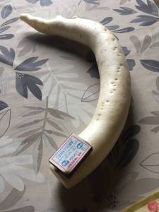 1736991376_IMG_29361.thumb.jpg.00f313f2ee7fcb8cc045a2dbf8b6e402.jpg