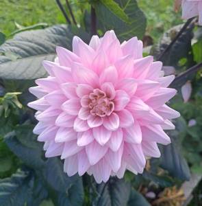 IMG20250907162636~2.jpg