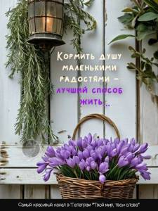 1865237016627054f5eeb4caa05b1147.thumb.jpg.29d72c94e6723f62df4ddc9660896970.jpg