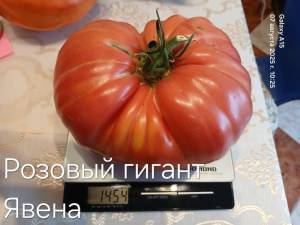 20250807_102554.jpg