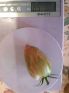 20250812_174733.thumb.jpg.edd1d9de7d2997af5f52090811ffa9e9.jpg
