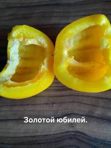 20250902_075610.jpg