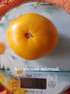 20250903_130320.jpg