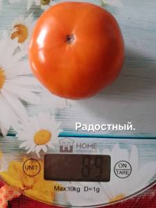 20250903_134546.jpg