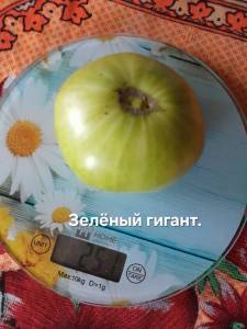 20250904_074317.jpg
