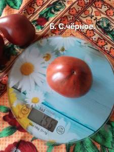 20250904_082450.jpg