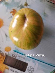 20250904_085146.jpg