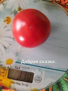 20250908_103912.jpg