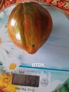 20250908_112654.jpg