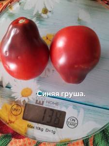 20250908_113641.jpg