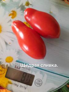 20250908_115602.jpg