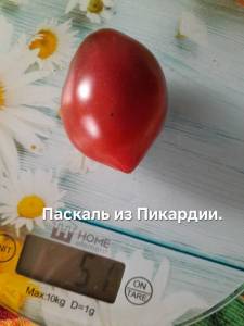 20250908_123207.jpg