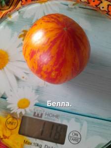 20250908_123650.jpg