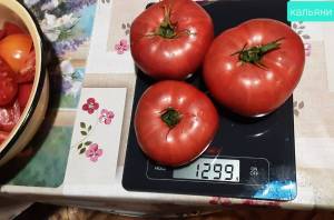 20250913_204806.jpg