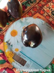 20250914_074710.jpg
