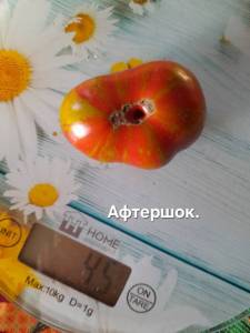 20250914_075550.jpg
