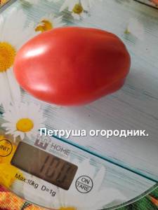 20250914_090721.jpg