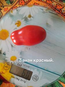 20250914_103843.jpg