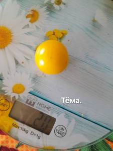20250914_104342.jpg