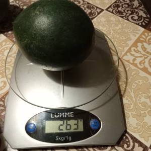 20250915_202425.thumb.jpg.563d290cae1bfe1efc2404d58e2184c3.jpg