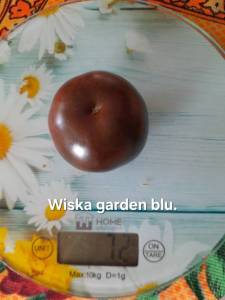 20250918_101345.jpg
