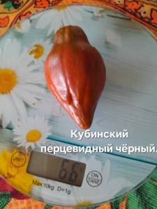20250918_102120.jpg