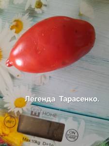 20250918_102552.jpg