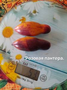 20250918_105350.jpg
