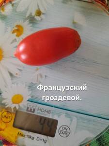 20250918_112055.jpg