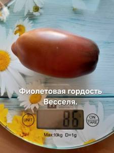20250918_143405.jpg