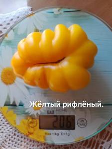 20250918_145802.jpg