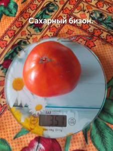 20250922_103151.jpg