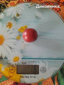 20250922_104504.jpg