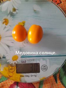 20250922_105450.jpg