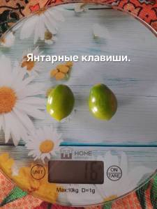 20250922_110707.jpg