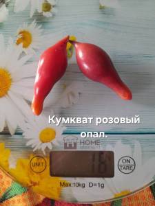 20250922_112112.jpg