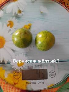 20250922_115340.jpg