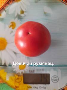 20250922_120717.jpg