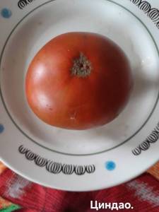 20250927_125434.jpg