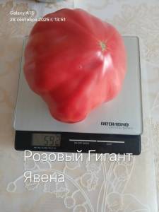 20250928_135103.jpg
